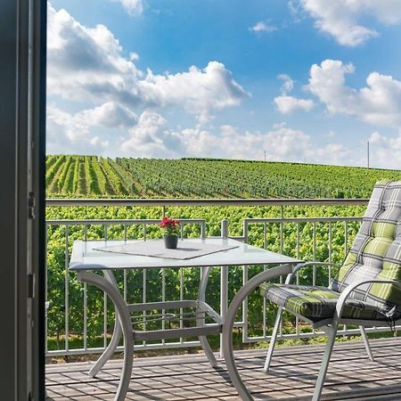 Apartamento Winzerhof Schmid Schwaigern Exterior foto