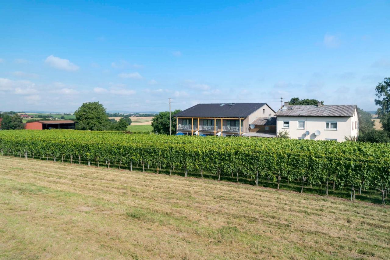 Apartamento Winzerhof Schmid Schwaigern Exterior foto